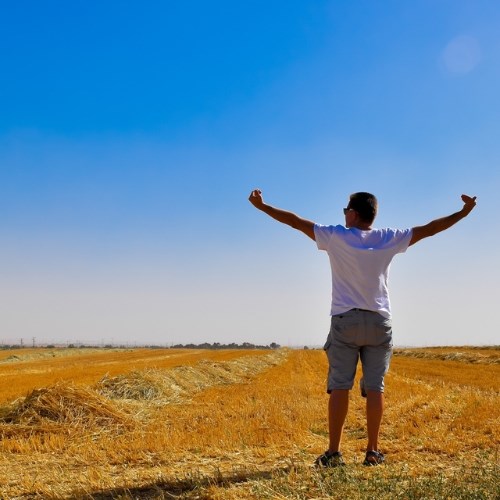 Understanding the Language of the Body